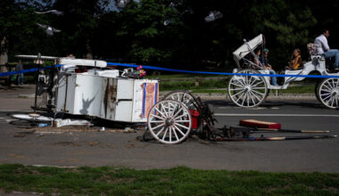 Central Park Rides Halted After Fatal Fall From Horse-Drawn Carriage