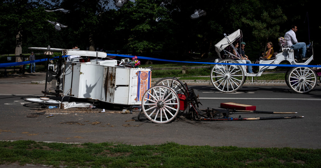 Central Park Rides Halted After Fatal Fall From Horse-Drawn Carriage