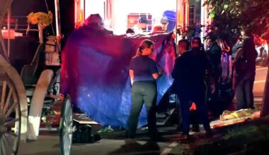16-year-old carriage horse dies in New York City's Central Park