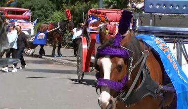 NYC horse carriage rides set to resume Tuesday following deadly accident that killed 18-year-old tourist