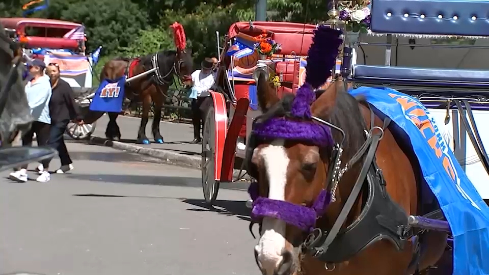 NYC horse carriage rides set to resume Tuesday following deadly accident that killed 18-year-old tourist