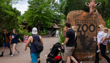 How the Nashville Zoo Became the Latest Face of Data Center Opposition