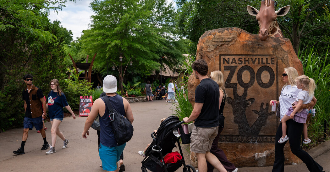How the Nashville Zoo Became the Latest Face of Data Center Opposition