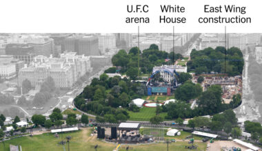 How Trump and the U.F.C. Transformed the White House Lawn for a Fight