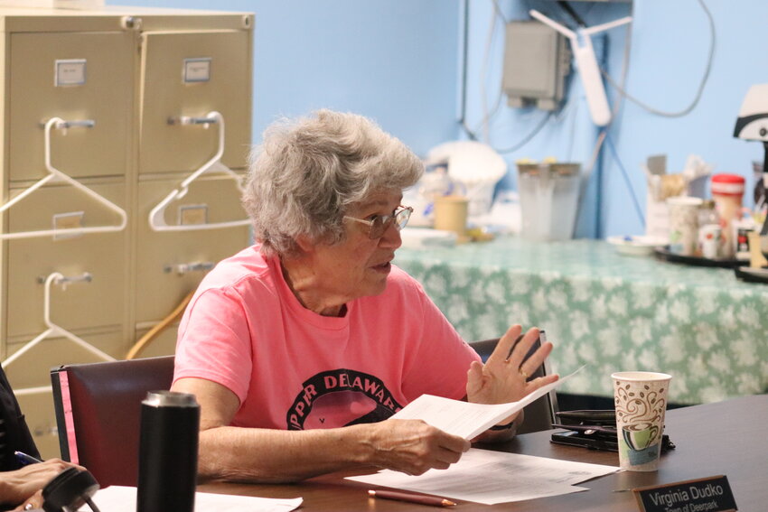 Upper Delaware Council Deerpark representative Ginny Dudko makes a point during a Thursday, June 4 meeting of the Upper Delaware Council.