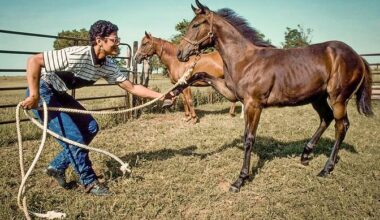Pulitzer Prize-winning photographer Ron Tarver and racehorse trainer Jordan Bullock will host a talk on the origins and evolution of Tarver&rsquo;s &ldquo;Black Cowboys in America&rdquo; series.