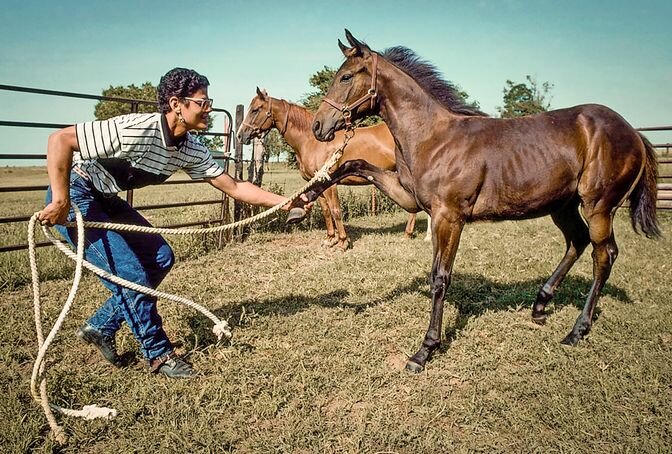 Pulitzer Prize-winning photographer Ron Tarver and racehorse trainer Jordan Bullock will host a talk on the origins and evolution of Tarver&rsquo;s &ldquo;Black Cowboys in America&rdquo; series.