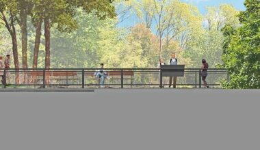 Renderings released by the city show planned bike lanes, greenery and foliage.