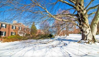 This year&rsquo;s dramatic snow storms and freezing weather harmed some of Wave Hill&rsquo;s plants.