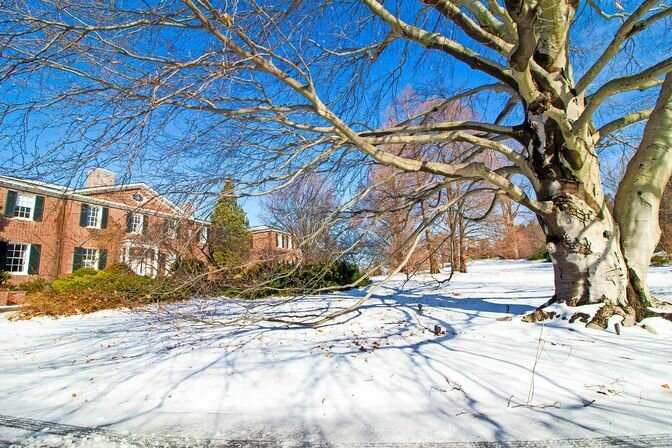 This year&rsquo;s dramatic snow storms and freezing weather harmed some of Wave Hill&rsquo;s plants.