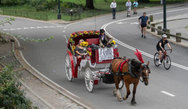 Teenager in critical condition after horse-drawn carriage overturns in NYC’s Central Park