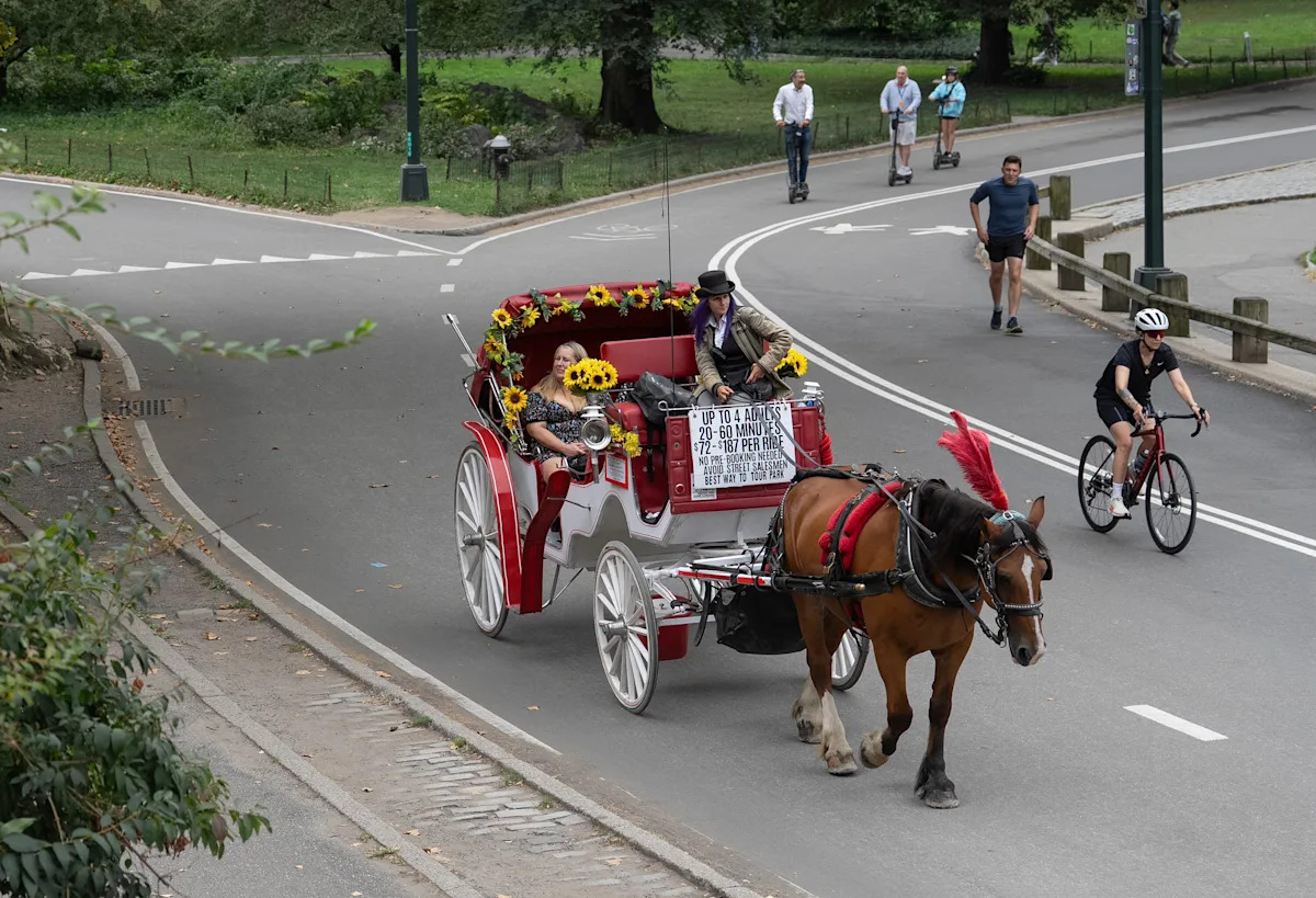 Teenager in critical condition after horse-drawn carriage overturns in NYC’s Central Park