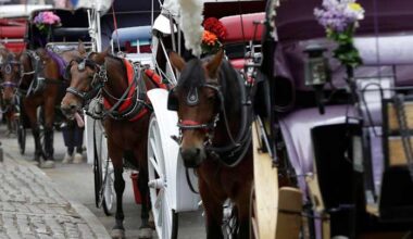 New York mayor, other leaders push to end horse carriage industry after Indian teen's death