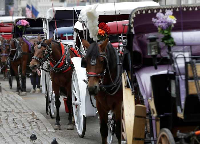 New York mayor, other leaders push to end horse carriage industry after Indian teen's death