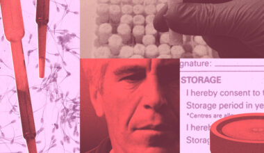Jeffrey Epstein Banked His Sperm Years Before His Death