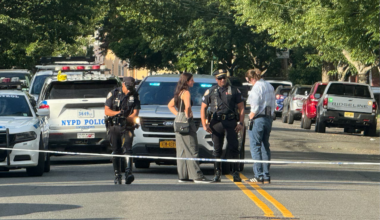 Women struck by car