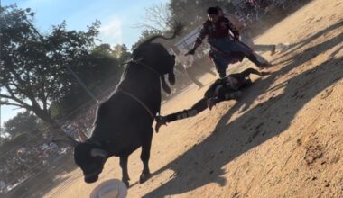 Bull rider, 25, hospitalized after being trampled at NYC rodeo: video