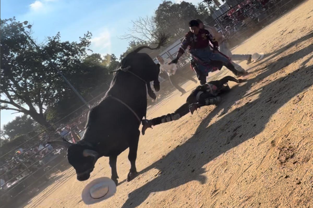 Bull rider, 25, hospitalized after being trampled at NYC rodeo: video