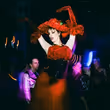 MASQUERADE Will Host NOCTURNE Late Night Performance Set in the World of PHANTOM Photo