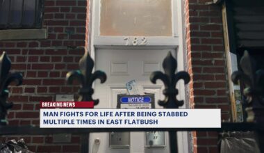 News 12 | Brooklyn | Man Critically Injured After Being Stabbed In The Eye In East Flatbush