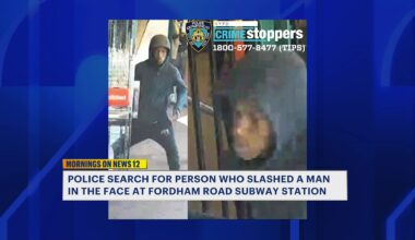 News 12 | Bronx | Man Slashed In The Face On 4 Train Platform In Fordham