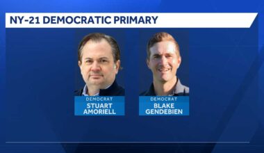 New York 21st Congressional District Democratic primary results