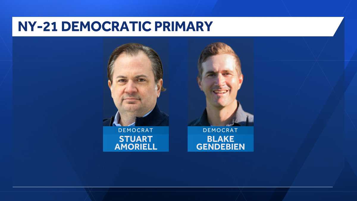New York 21st Congressional District Democratic primary results