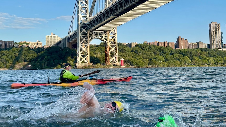 Swimmers under a bridge in Manhattan.