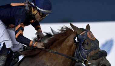 'Truly Regrettable': Record-Setting New York-Bred Mind Your Biscuits Dies In Japan At Age 13