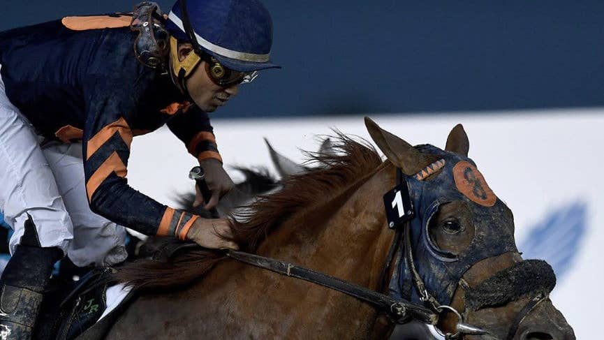 'Truly Regrettable': Record-Setting New York-Bred Mind Your Biscuits Dies In Japan At Age 13