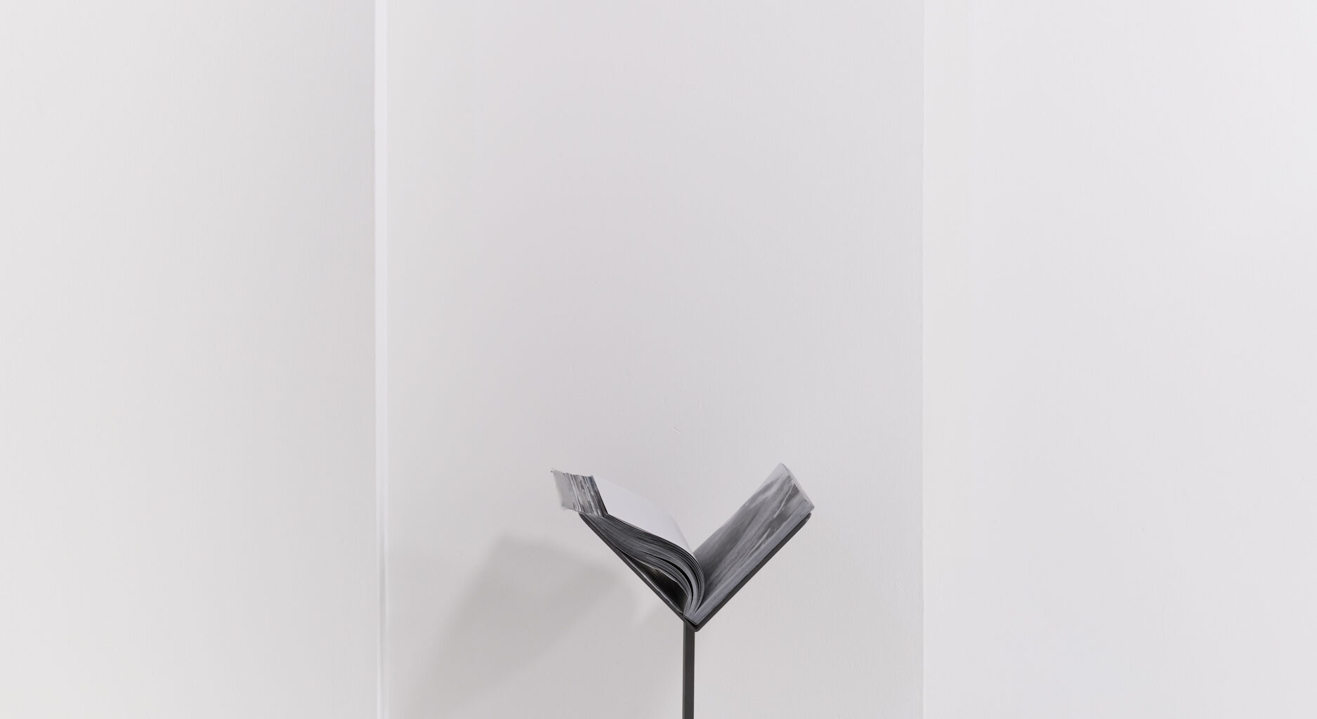 Installation view: Mad World 2026: A Bag to Breathe Into, SoMad, New York, 2026. Courtesy SoMad.