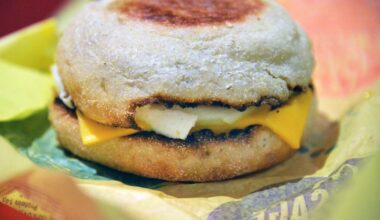 Woman sues New York McDonald’s after ‘unfit’ sandwich caused injuries