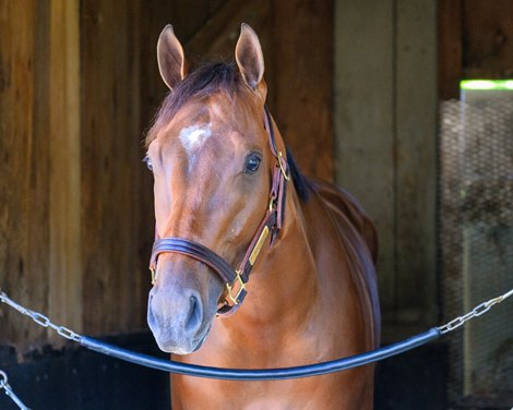 Kentucky Derby Stars Have a New York State of Mind
