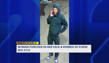 News 12 | Brooklyn | Woman Violently Robbed In Bed Stuy