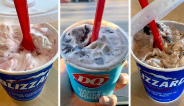 All Dairy Queen Blizzard Flavors Ranked From Worst to Best: Review