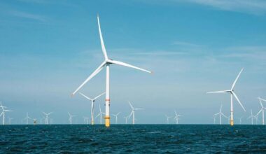 Lawsuit alleges Trump used 'illegal' deal to scuttle offshore wind projects | New York