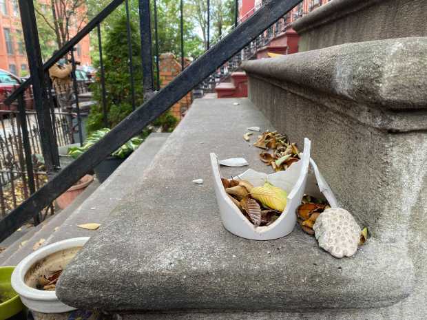 A shattered flower pot that was also hit by a stray bullet is pictured the day after Ethan Williams was fatally shot on a Brooklyn stoop.