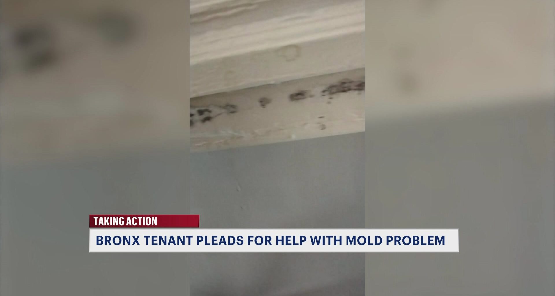 News 12 | Bronx | Bronx Tenant Pleads For Help Over Yearslong Mold Problem