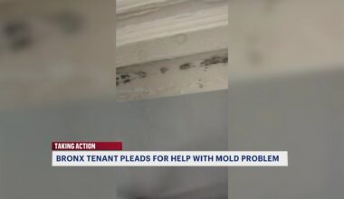 News 12 | Bronx | Bronx Tenant Pleads For Help Over Yearslong Mold Problem