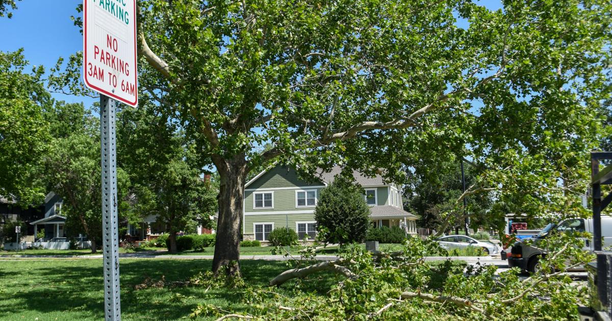 Storm system with high winds, heavy rain wreaks havoc in Manhattan | News