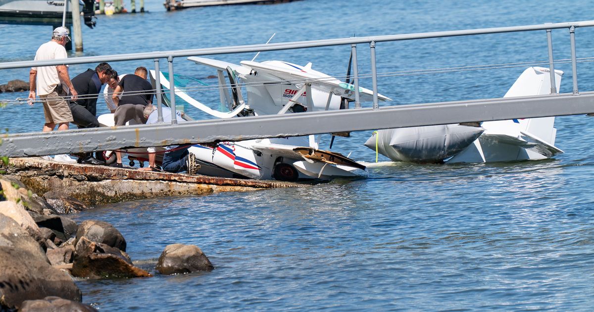 Queens pilot abandons seaplane in East River after wave crashes into it; second time pilot survives crash
