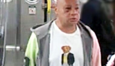 Police seeking R train menace |