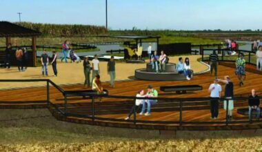 Delta birders to get new viewing platform at Staten Island | News