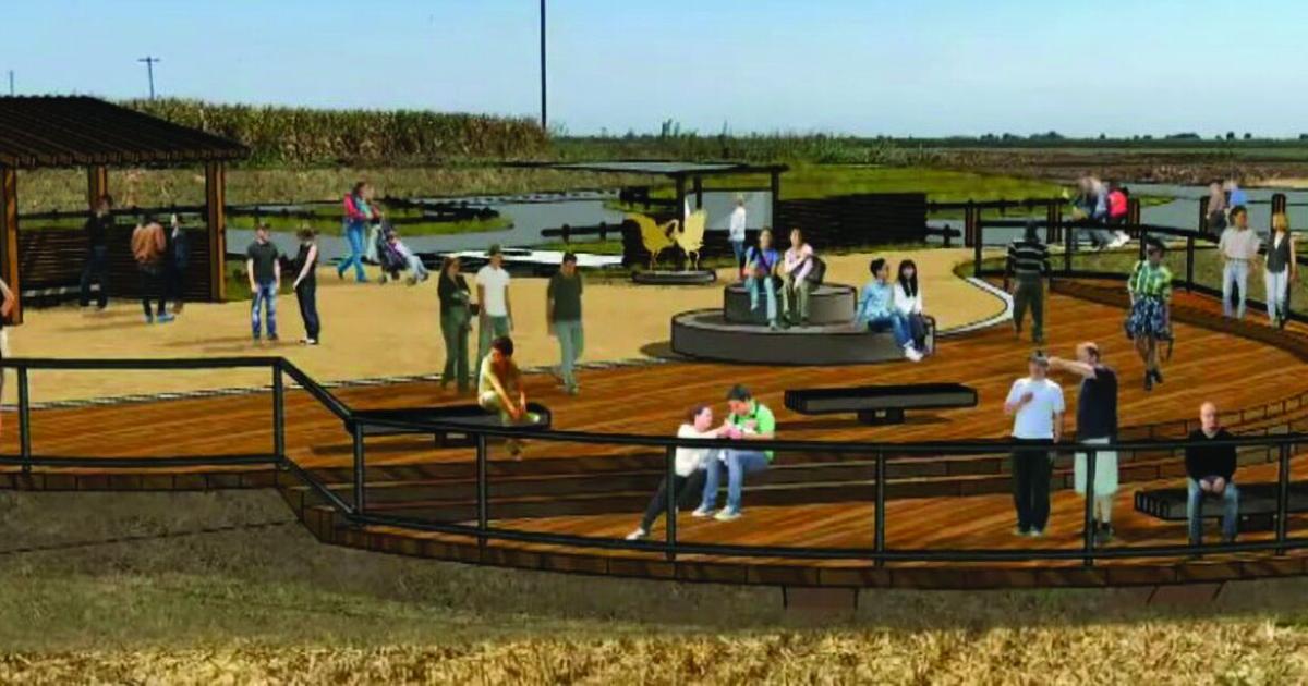 Delta birders to get new viewing platform at Staten Island | News