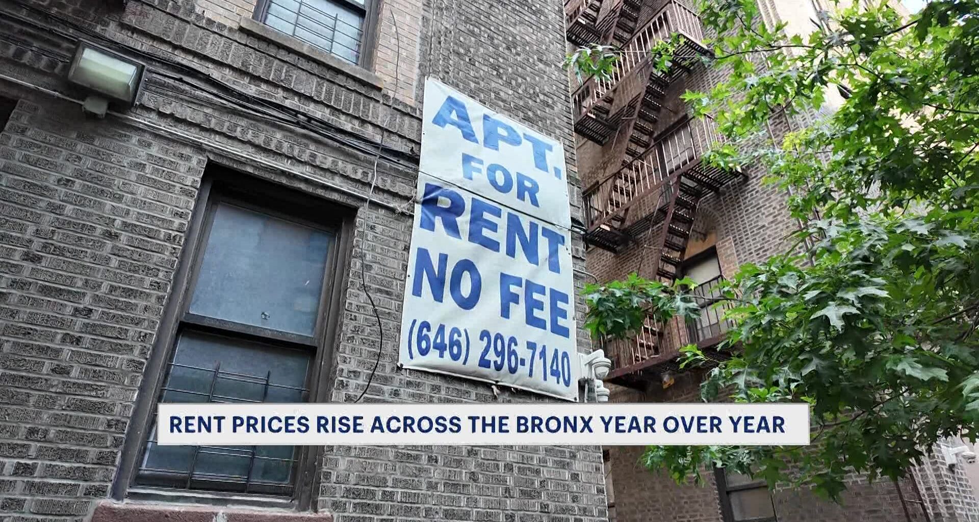 News 12 | Connecticut | The Prices Are Just Horrendous Rising Bronx Rents Push Residents To Consider Leaving The Borough
