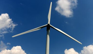 7 states sue Trump administration for N.Y. wind farm cancellation