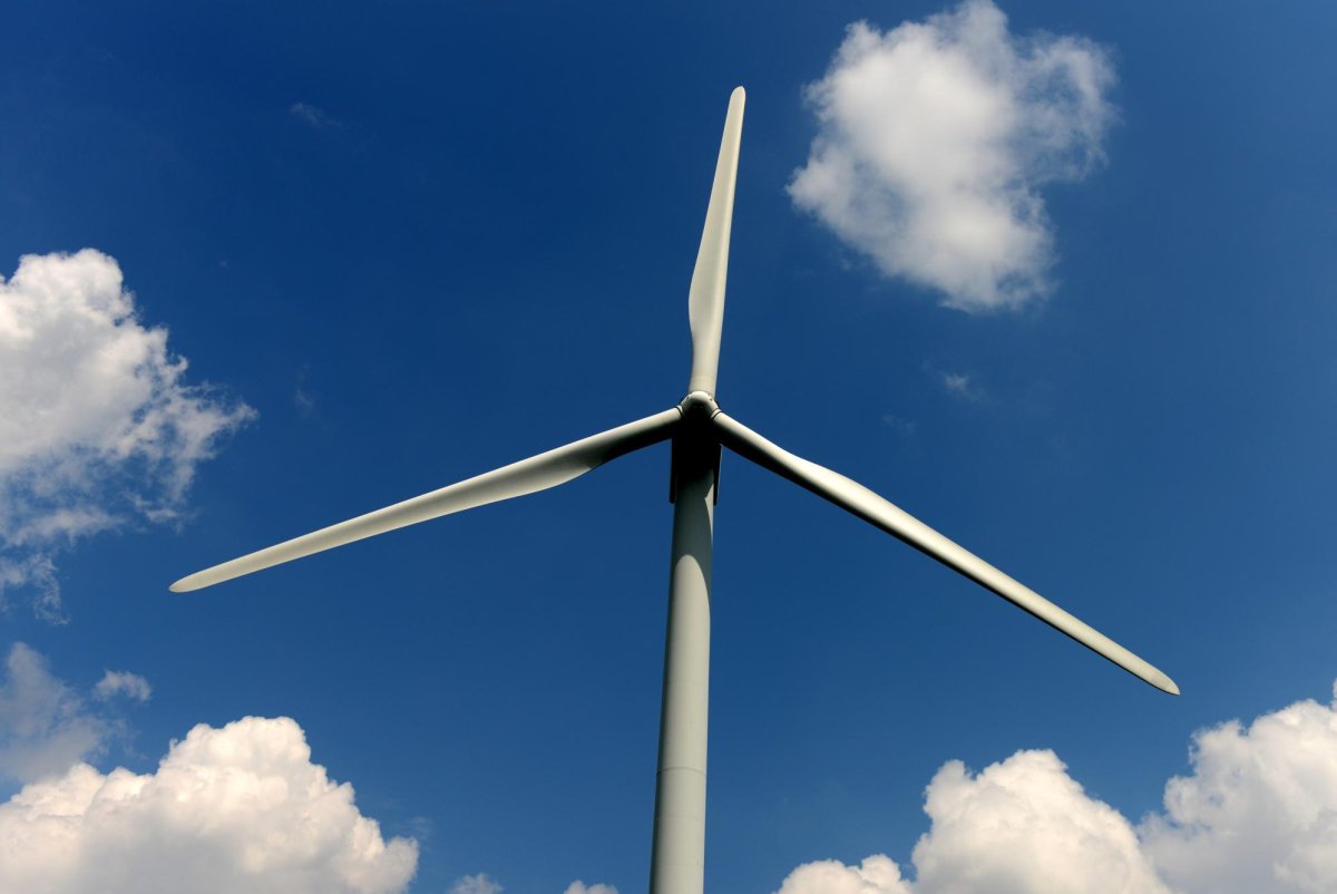 7 states sue Trump administration for N.Y. wind farm cancellation