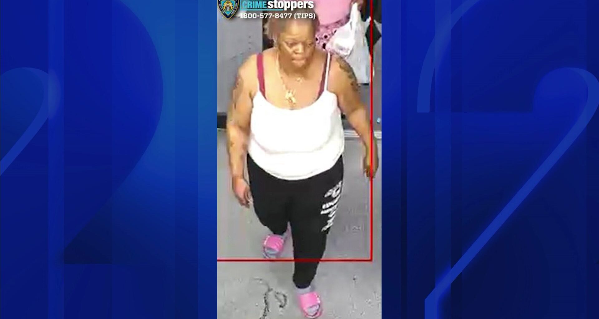 News 12 | Brooklyn | Woman Charged With Murder Accused Of Stabbing Neighbor To Death In Canarsie