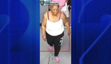 News 12 | Brooklyn | Woman Charged With Murder Accused Of Stabbing Neighbor To Death In Canarsie