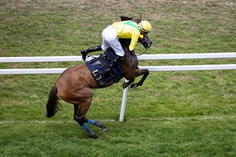 Celtic Dispute plays up for Christophe Soumillon before the Queen Mary Stakes.<br>
Royal Ascot day 2.<br>
Photo: Patrick McCann/Racing Post<br>
17.06.2026